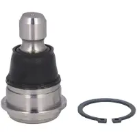 555 Pallonivel SB-4942