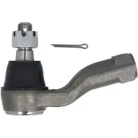 555 Raidetangon pää SE-4971