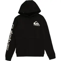 Quiksilver Omni Logo Hoodie Youth - Black - 14
