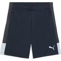 Puma Treenishortsit individualLIGA - Strong Gray/Jäinen sininen, koko Medium