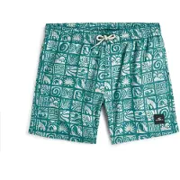 O'Neill Print Uimashortsit
