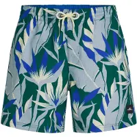 O'Neill Print 16'' Surffishortsit blue tropicana big Koko XXL