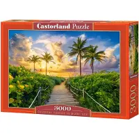 Castorland Miami, USA 3000p palapeli