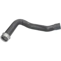 THERMOTEC Jäähdyttimen letku DWM004TT