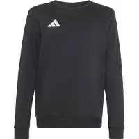 Adidas Entrada 26 Sweat Collegepaita