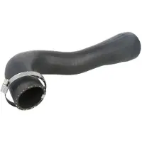 THERMOTEC Jäähdyttimen letku DCX075TT