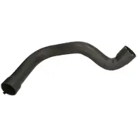 THERMOTEC Jäähdyttimen letku DWC006TT