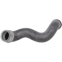 THERMOTEC Jäähdyttimen letku DWM024TT oikea