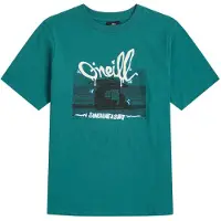 O'Neill Slub Graphic Lyhythihainen T-paita