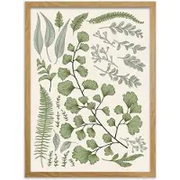 Kotoilu Kasvio 50 x 70 cm canvastaulu kehyksellä