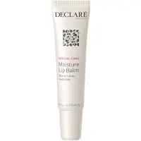 Declare Special Care Moisture Huulivoide 15 ml