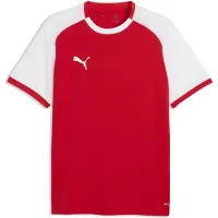 Puma Toiminnallinen paita 'TeamLiga26 Matchday' punainen / valkoinen