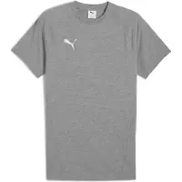 Puma Toiminnallinen paita 'TeamEvostripe' harmaa / valkoinen