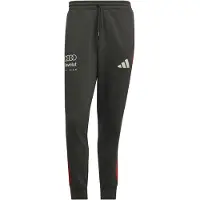 Adidas Urheiluhousut 'Audi Formula One Team DNA' tummanharmaa / punainen / valkoinen