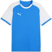 Puma Toiminnallinen paita 'TeamLIGA26 Matchday' kuninkaallisen sininen / valkoinen