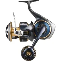 Daiwa Saltiga 25 Jigging-kela