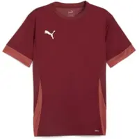 Puma Treenipaita Teamgoal - Viininpunainen/valkoinen Lapset, koko 116 cm