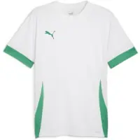 Puma Teamgoal Matchday Jersey Jr White-sport Green-sport Green, koko 116 cm