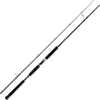 Shimano Fishing Beastmaster Ax Pilk Jigging-vapa