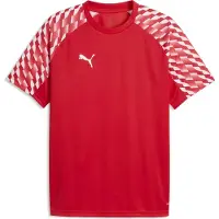 Puma Toiminnallinen paita 'TeamLiga26' punainen / tulenpunainen / valkoinen