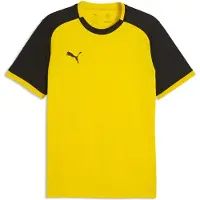 Puma Toiminnallinen paita 'TeamLIGA26 Matchday' keltainen / musta