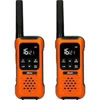 Alecto FR300OE radiopuhelinpari