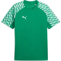 Puma Treenipaita teamLIGA26 - Urheilu Vihreä/Valkoinen Lapset, koko 152 cm