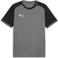 Puma Toiminnallinen paita 'TeamLIGA26 Matchday' tummanharmaa / musta / valkoinen