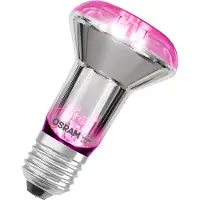 Osram Star E27 R63 140lm Grow Lamp kasvilamppu