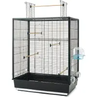 Nobby Primo 60 Open Empire 80x50x115cm lintu
