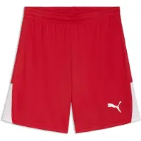 Puma Urheiluhousut 'TeamLiga26' punainen / valkoinen