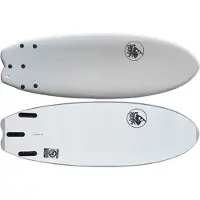 Buster Space Twin Puffin Riversurfboard gray Koko 4'10