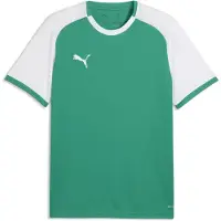 Puma Toiminnallinen paita 'TeamLIGA26 Matchday' vaaleanvihreä / valkoinen