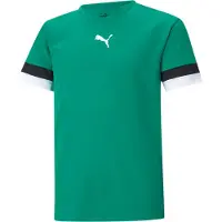 Puma Toiminnallinen paita 'TeamRise' smaragdi / musta / valkoinen
