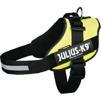 Julius-K9 Idc Koiran Valjaat