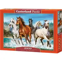 Castorland Call of Nature 2000p palapeli