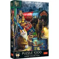 Trefl Premium Plus Magic Collection: Witchwood Express 1000p palapeli