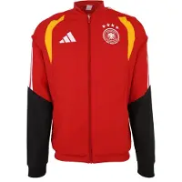 Adidas Urheilutakki 'DFB PRE' hunaja / punainen / musta / valkoinen