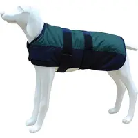 Freedog North Pole Model B Koiran Takki