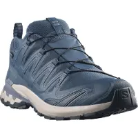Salomon Men's XA 3D Pro V9 GORE-TEX Spellbound/Grisaille/Maritime Blue Juoksukengät Spellbound / Grisaille / Maritime Blue 41 1/3