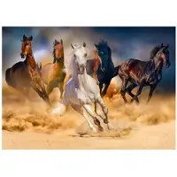 Enjoy Puzzle ENJOY Horses Running in the Desert 1000p palapeli