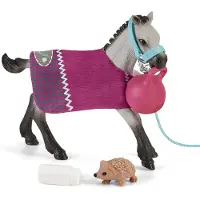 Schleich Varsojen leikkisetti