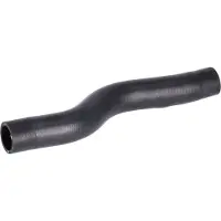 FEBI BILSTEIN Jäähdyttimen letku 181169