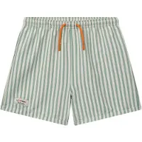 Liewood Duke Stripe Uimashortsit, Stripe Peppermint/Crisp White, 128