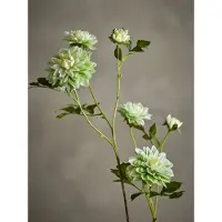 Bloomingville Chrysantemum