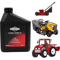 Briggs&Stratton Öljy 4T; 1,4l ruohonleikkurin ja puutarhatraktorin moottori