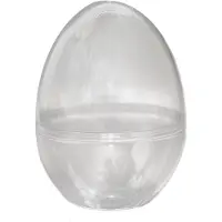 Colorations - Fillable Egg Transparent Set of 12
