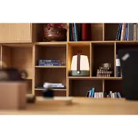 Kooduu Lite-up Play Mini JBL Petroleum (KO06-0101LS012-02)