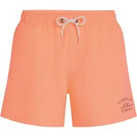 O'Neill Beach 15´´ Uimashortsit