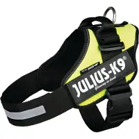Julius-K9 Idc Koiran Valjaat